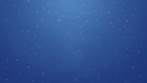 2017040801.jpg