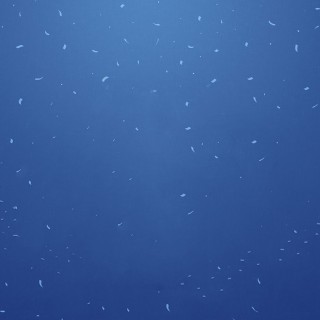 2017040801
